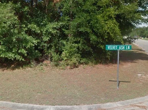 10715 Velvet Ash Ln, Lillian, AL 36549