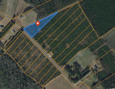 Lot B1 Black Creek Rd., Nichols, SC, 29581