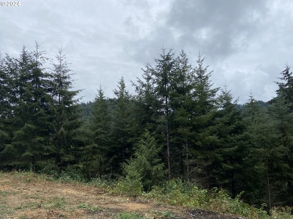 126 Highway, Florence, OR 97439