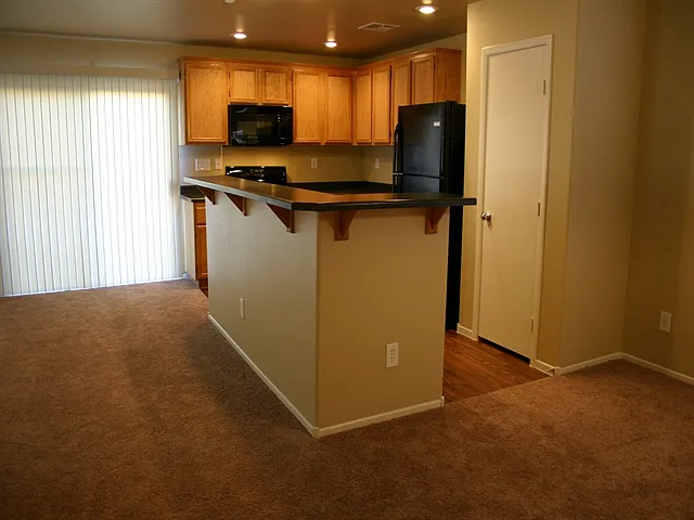 1171 Paradise Safari Dr — Photo 3