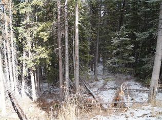 162 Kimmes Ln, Breckenridge, CO 80424