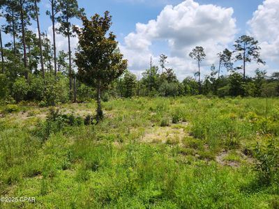 Highway 20, Youngstown, FL, 32466