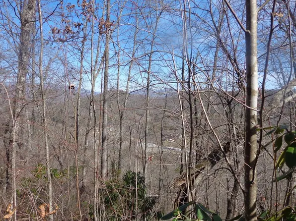 7 Plainview Rdg, Sylva, NC 28779