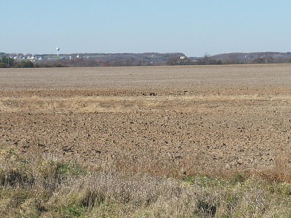 4th image of 6312 Highway 50