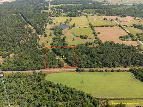 TRACT 2 Fm 49, Big Sandy, TX 75755