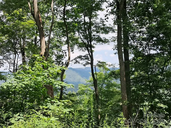 0 Hurricane Ridge Trce #53, Clyde, NC 28721
