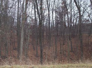 14110 Heffron St NE, Belding, MI 48809