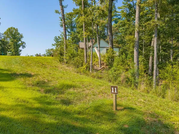 LOT 11 Lake Top Ln, Ellijay, GA 30540