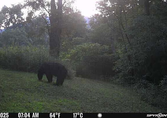 98th image of this home