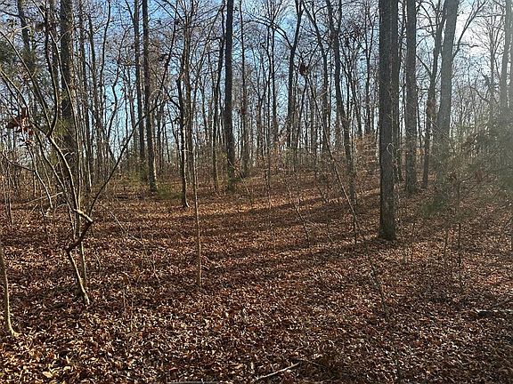 3rd image of 0 Arnold Thomas Rd