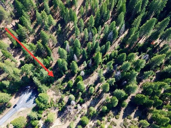 638 Eureka Springs Dr, Blairsden Graeagle, CA 96103