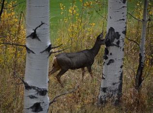 53 Forest Trl, Edwards, CO 81632