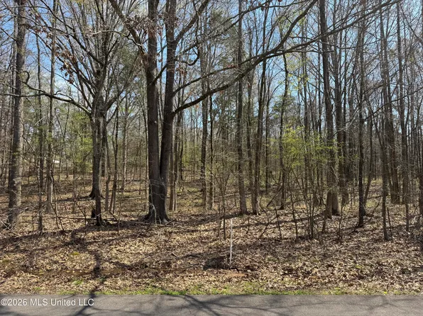 0 Steele Rd, Hernando, MS 38632