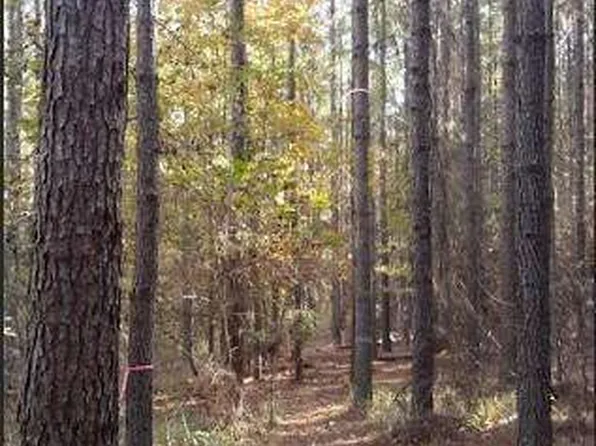 1047 Ponder Trammell Rd, Juliette, GA 31046