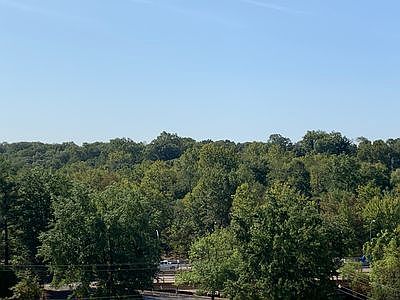 Southern expos w/tree tops