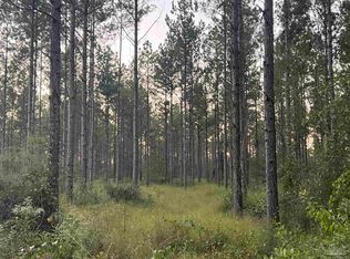 LOT 3 Wallace Lake Rd, Milton, FL 32571