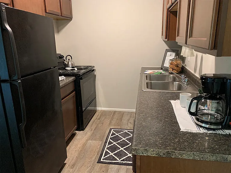 Double Sink Basin