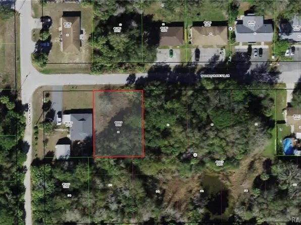 6882 W Doris Maretta Ln, Homosassa, FL 34446