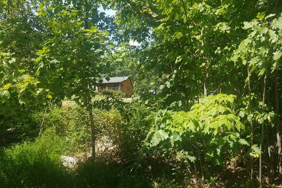 2nd image of 168 Cox Rd