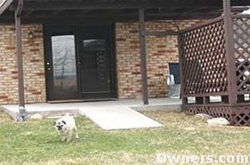 Covered Back Porch