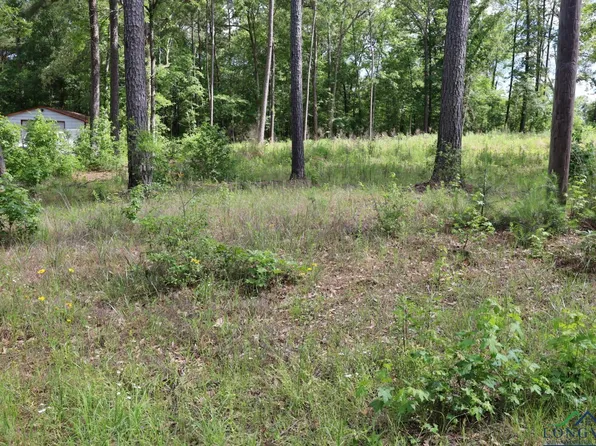 Forestwood Lot 429, Gilmer, TX 75645