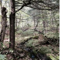 0 Grantville Rd, Forestport, NY 13338