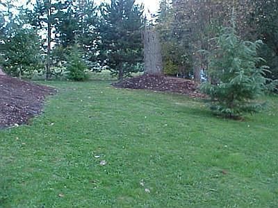 Pretty property w/cleared home site