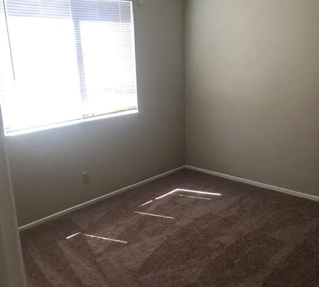 398 Dooley Dr — Photo 19