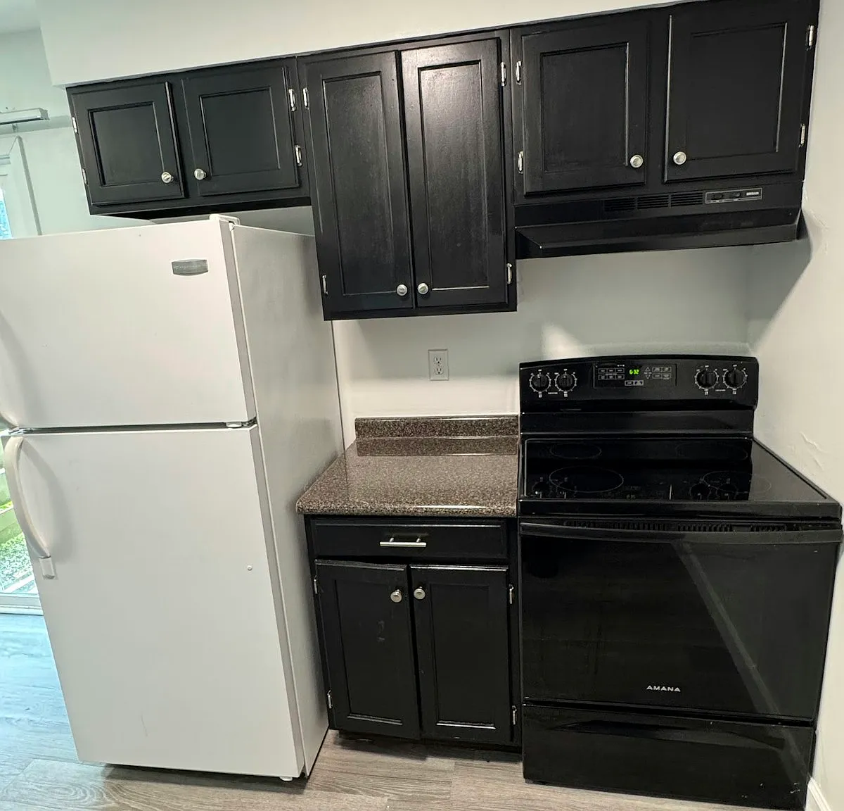 4167 West Ridge Road, Unit 1 — Photo 4