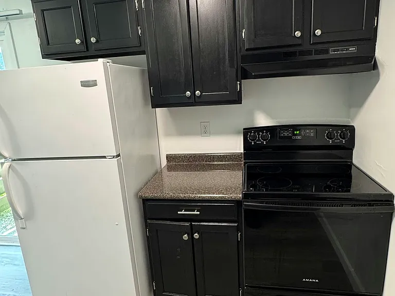 4167 W Ridge Rd #1 — Photo 4