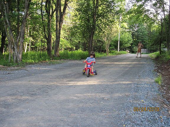 Longe wood-lined drive facing out