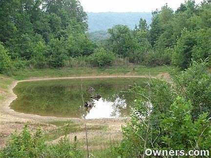 Forested spring fed pond partial view