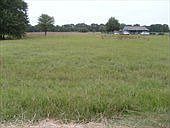 2nd image of 8174 Acorn Cir