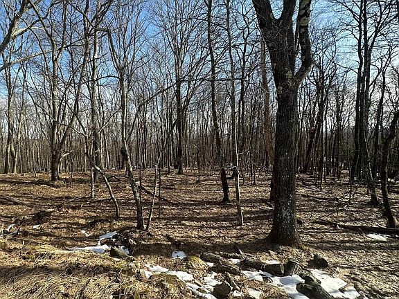 3rd image of 122 Woodbine Dr