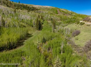 Forest Service Road East Rdg #300, Glenwood Springs, CO 81601