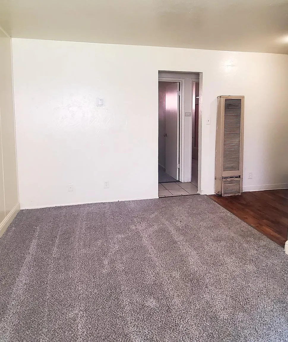 1 bed, $950 — Photo 3