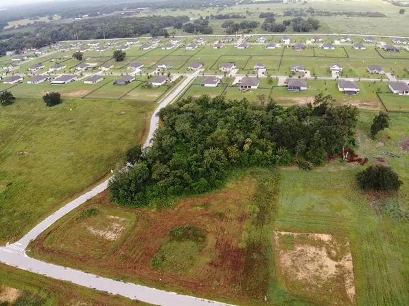 WHITE EGRET DRIVE LOT 75, THONOTOSASSA, FL 33592