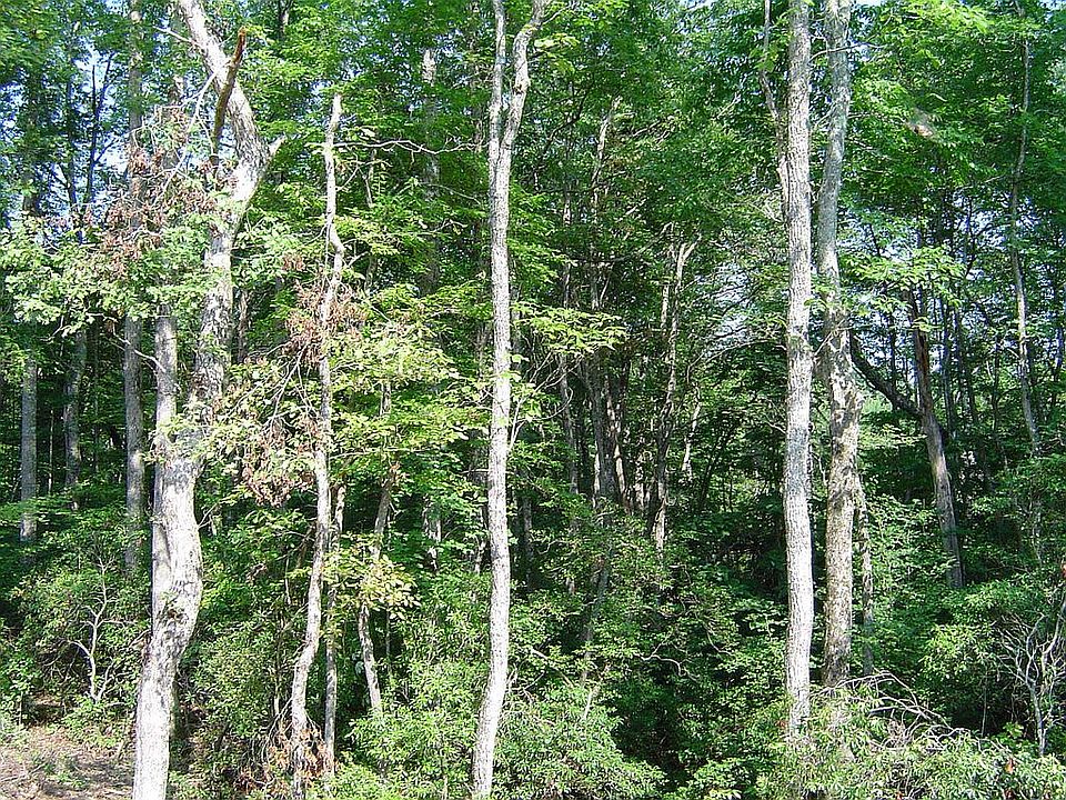 2nd image of Ridge Wood Ln