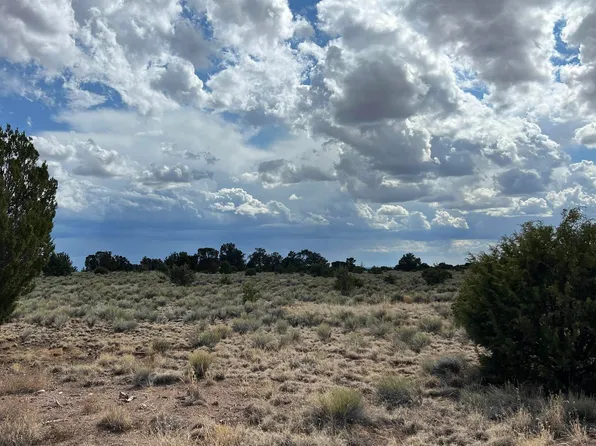 Bridle Path, Quemado, NM 87829
