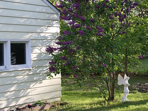 5th image of 6332 Tall Oaks Dr