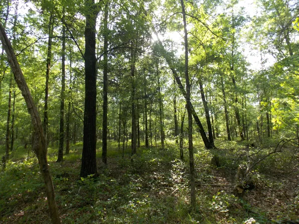 48 Bambi Circle Circle, Lincolnton, GA