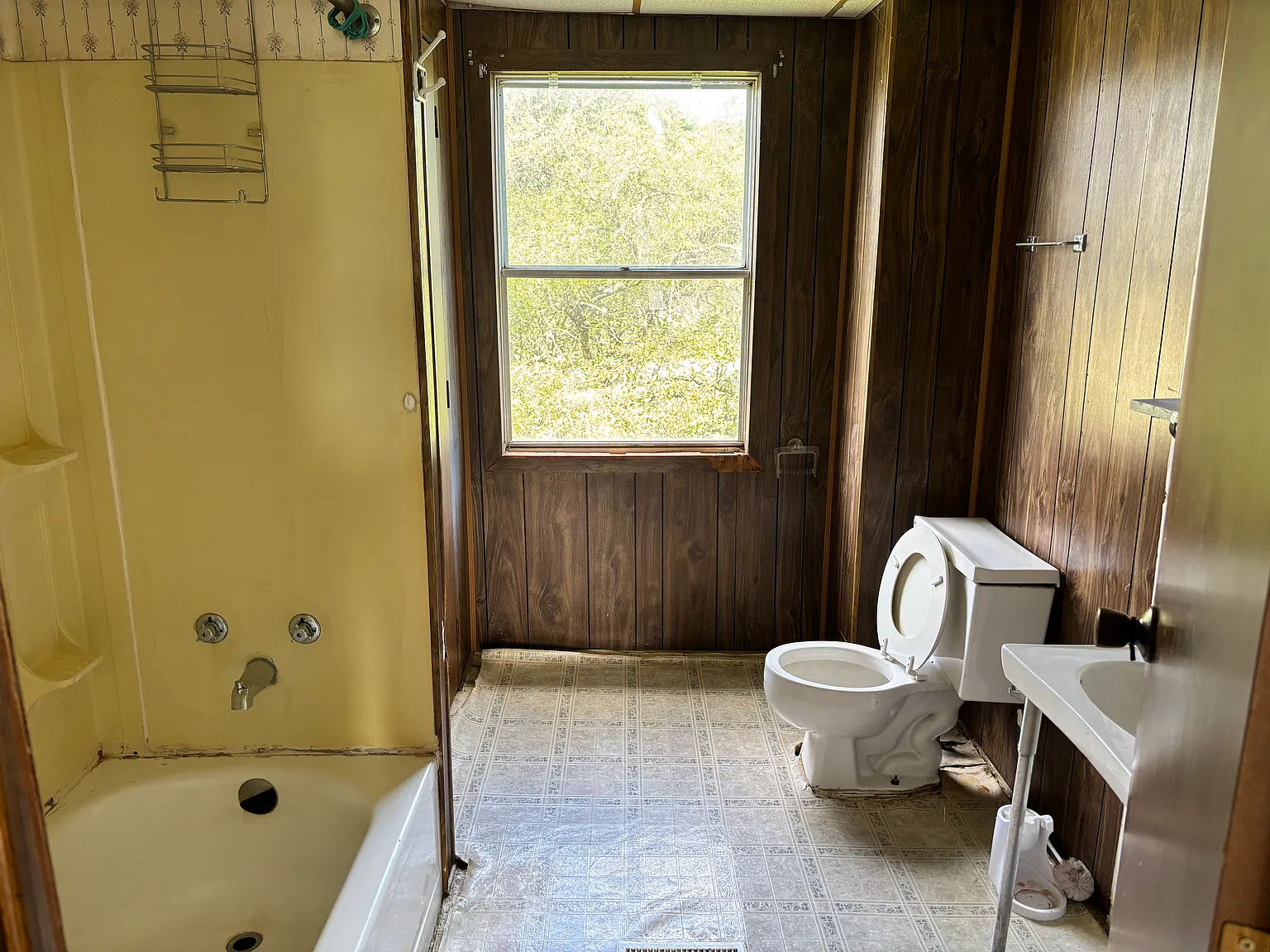 1 bed, 750 sqft, $650 — Photo 3