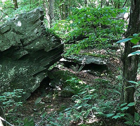 More glacier croppings
