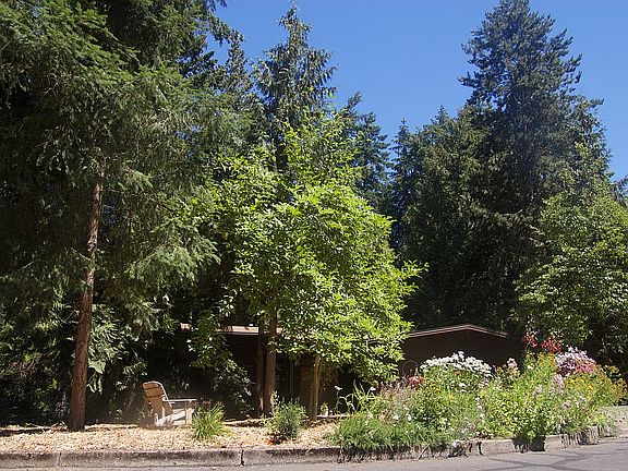 4th image of 1342 SE 38th Ave