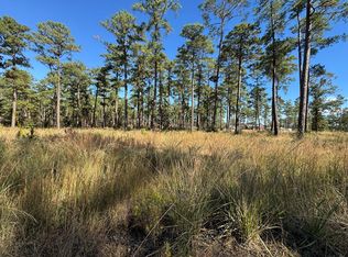 LOT 33 Private Road 6026, Brookeland, TX 75931