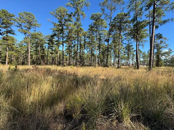LOT 33 Private Road 6026, Brookeland, TX 75931