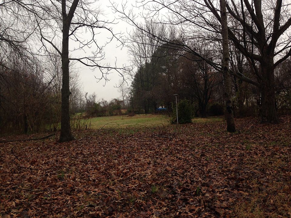 Spacious back yard