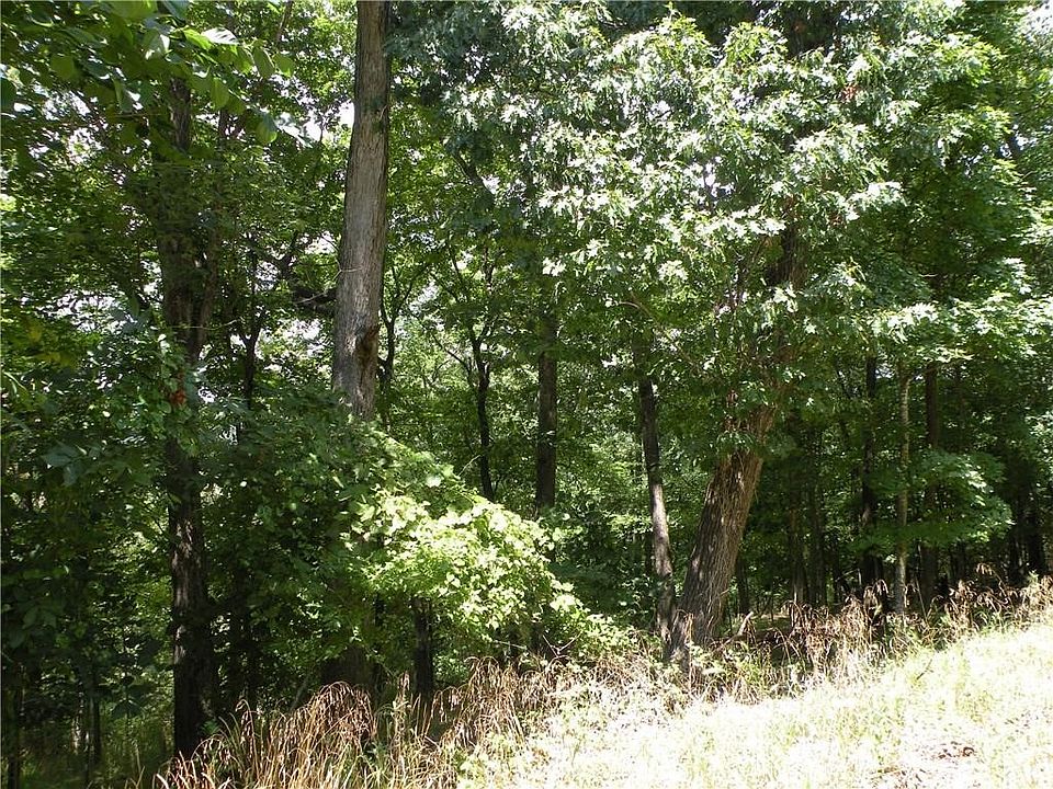 75 Leatherwood Dr Eureka Springs AR Zillow