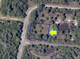 0 Saltwater Ginger St SW, Palm Bay, FL 32908