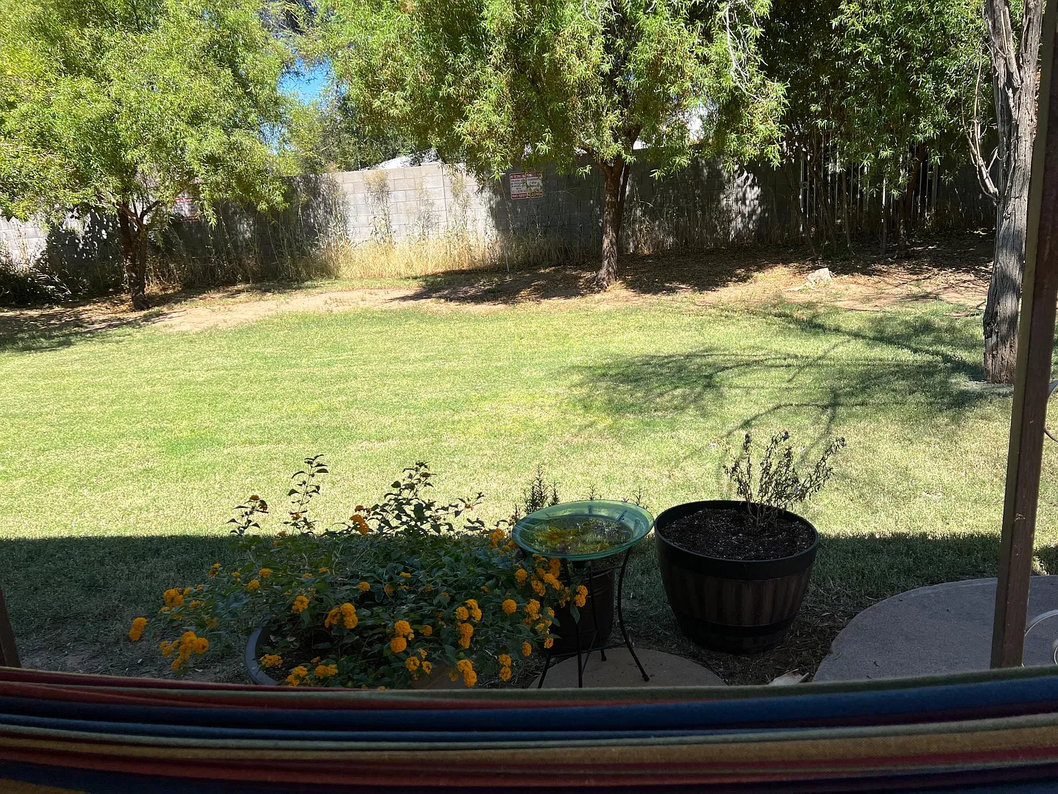 E Flower St, Phoenix — Photo 2